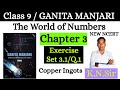 Class 9 Maths GANITA MANJARI Exercise 3.1/Q.1 | The World of Numbers | New Ncert