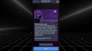 Auto Blum Farm Guide