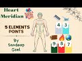 5.Energetic Harmony: Exploring the Heart Meridian and its Five Elemental Points.