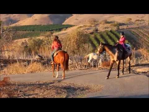 וִידֵאוֹ: איך לבשל גליל מבפנים החוצה