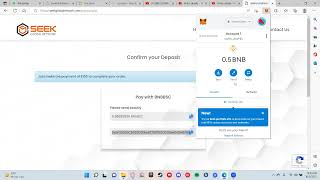 SGN How to make a deposit with nowpayments