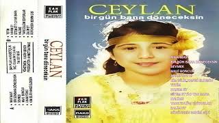 Ceylan Bir Gün Bana Döneceksin 1985 Resimi