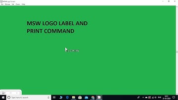MSW LOGO HINDI TUTORIAL PART 2 / CHANGING PEN SIZE AND PEN COLOR /USE OF PRINT AND LABEL COMMANDS