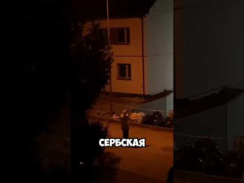 Кто такая сербская леди? 😱 #сербскаяледи #жуткие_истории #страшно #хоррор #капкут #реки #horror