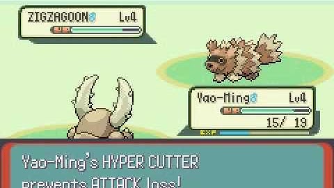 OMG Pokemon Emerald with Bugs Only (Part 1)