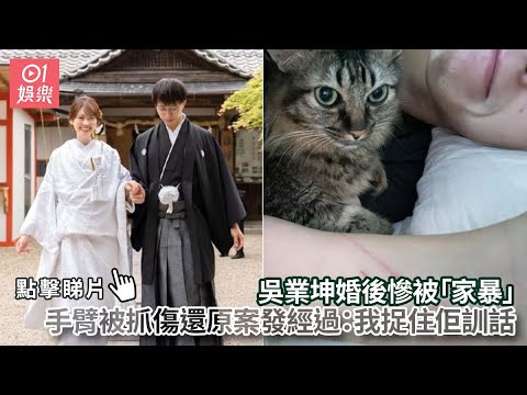 吳業坤手臂被抓傷還原案發經過：我捉住佢訓話