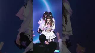 Harukoi Prologue Fiore Damore Miracle Startune Focus Petpet 25.5.68