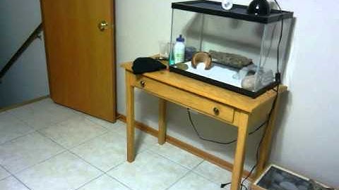 BOOST MOBILE ZTE Warp test video (best quality)