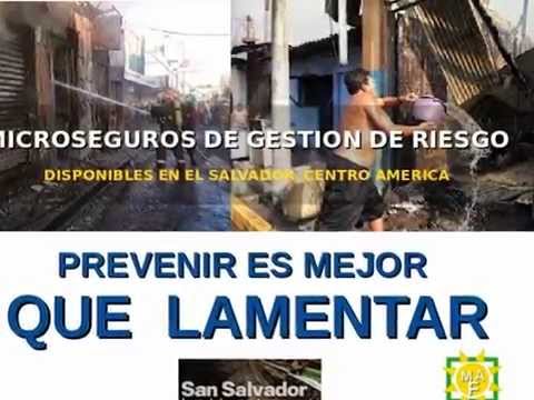 Microseguros de Gestion de Riesgo para Emprendedores - El Salvador