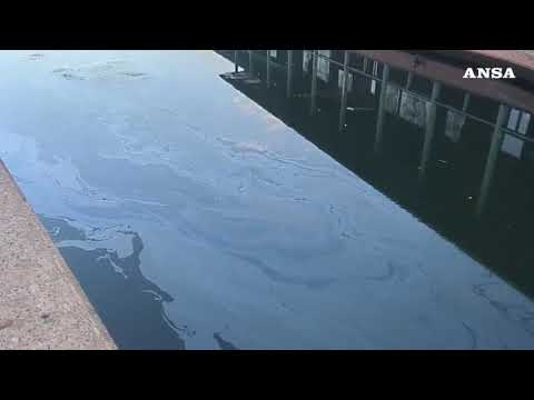 Video Milano, chiazza di gasolio nel Naviglio Pavese