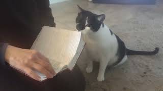 Mickey Wants to Read the Bible by The Black and White Brigade 218 views 2 months ago 1 minute, 41 seconds