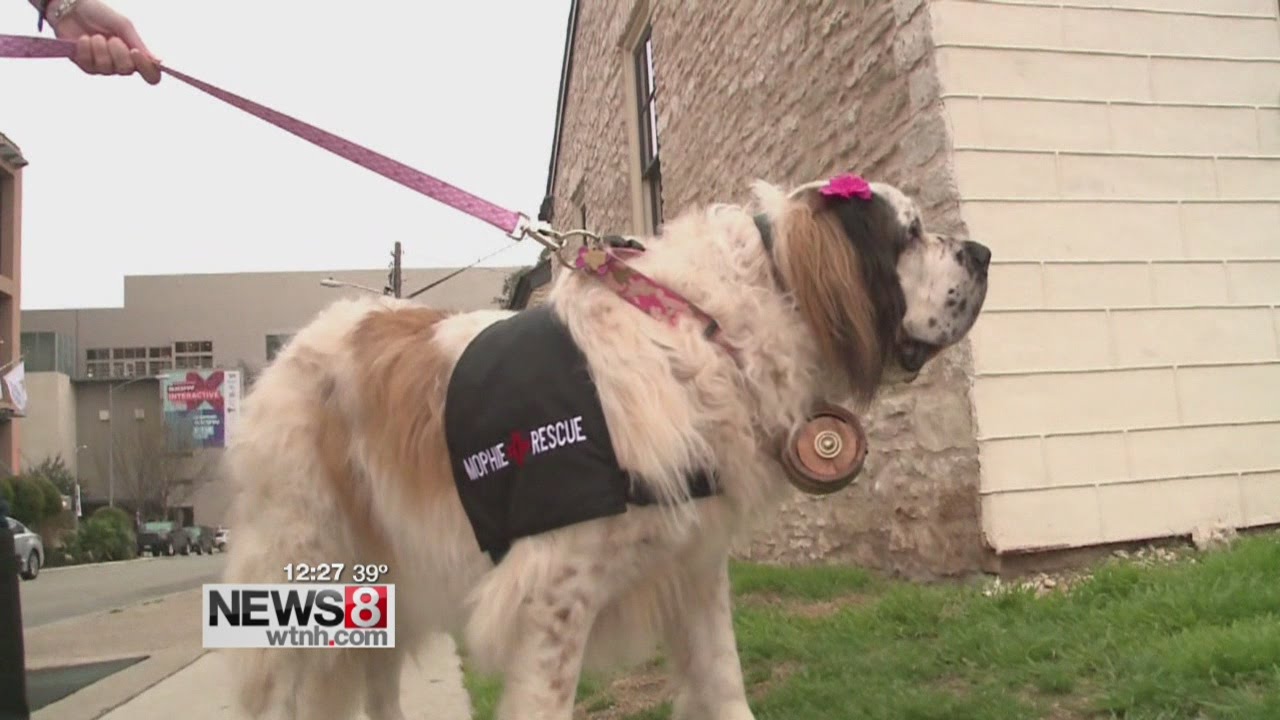 Live-streaming apps dominate buzz at South by Southwest