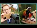 DIY Tips To Photograph Birds Using Your Smartphone | Cheap Shot Challenge | Earth Unplugged
