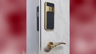 EPIC 6G 24k Gold Plated Digital Lock