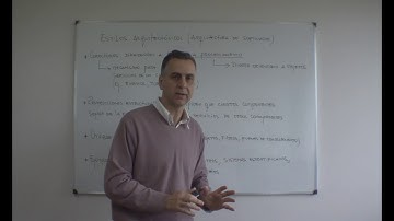 Conceptos y vocabulario básicos sobre diseño de software (02)