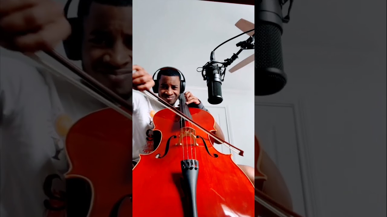 Our Cheapest Violin vs Our Most Expensive 