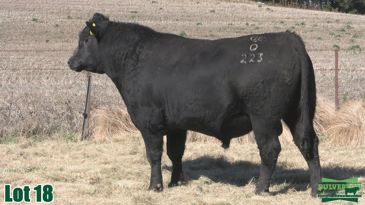 Lot 18 Dulverton Quality Touch Q223 Youtube