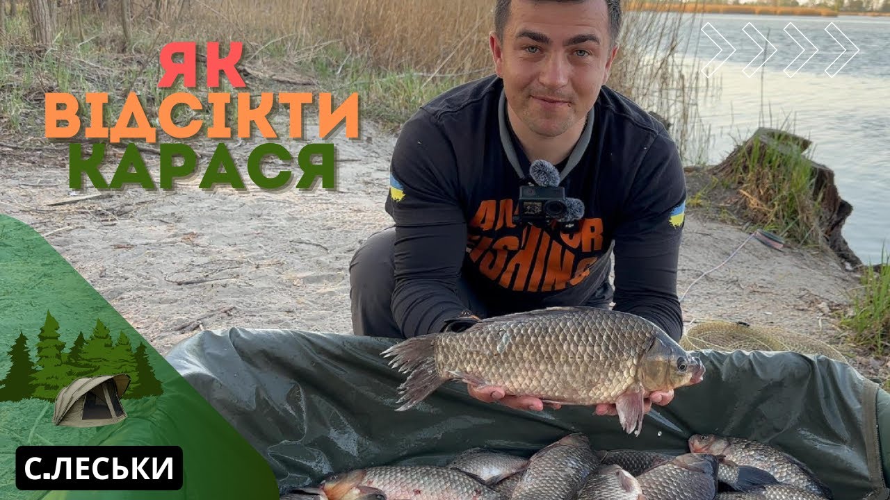 Як зловити коропа, коли карась не дає спокою