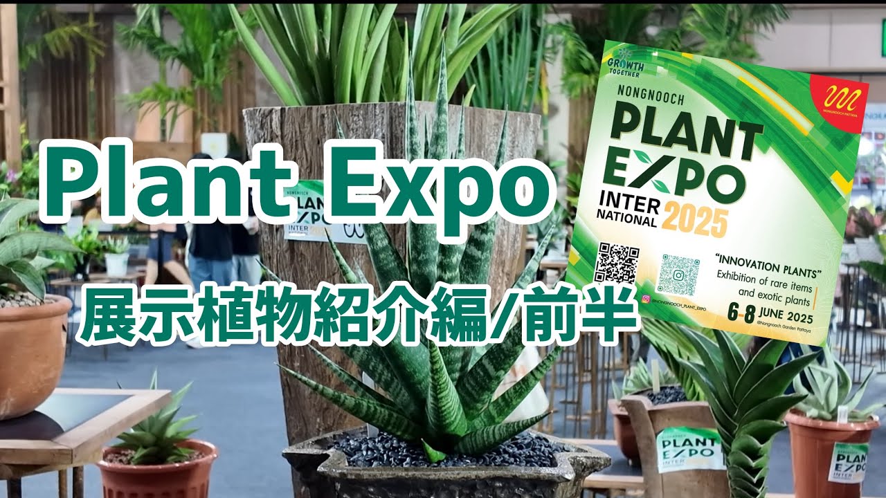 【タイの植物展示会】Plant Expo 2025 in ノンヌット トロピカル ボタニカル ガーデン 展示植物紹介/前半