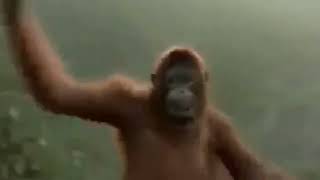 Monkey Dance - Industry baby [Bass Boosted/Earrape]