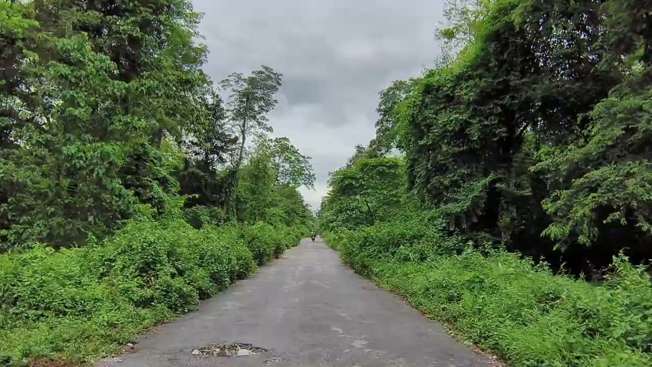 This is Ultapani reserve forest road Kokrajhar (BTAD)