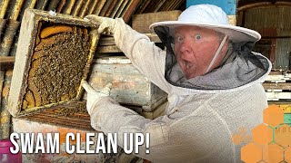 The Bush Bee Man Finds Unexpected Swarms In Farm Sheds