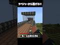 ラベジャーからの逃走劇💨💀#shorts #いとらい #minecraft