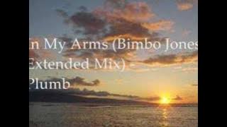 In My Arms (Bimbo Jones Extended Remix) - Plumb