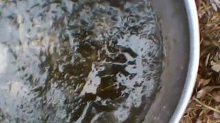 Cold Weather-Frozen Water in sinton texas