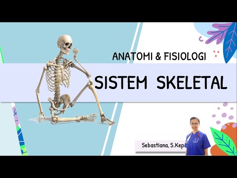 ANATOMI FISIOLOGI SISTEM SKELETAL (TULANG)