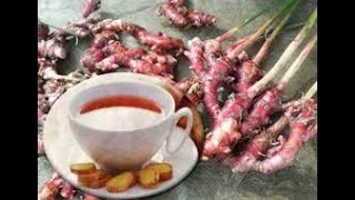 praktek membuat jahe merah instan gula aren