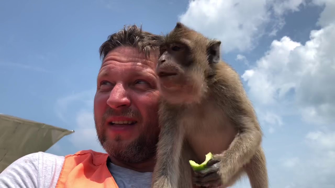 Остров обезьян. - YouTube