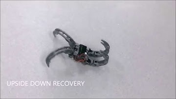 Scorpio: A Bio-inspired Self-reconfigurable Robot for Urban Patrolling Missions