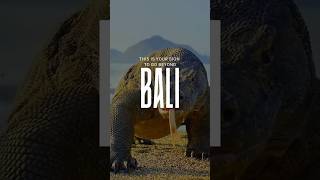Beyond Bali: Komodo, Java &amp; Lombok Travel Guide | Indonesia Island Extensions  #travel #baliguide