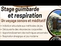 Atelier Guimbarde et Respiration -- Présentation