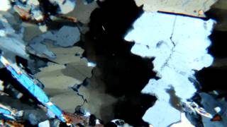 Deformed (Metamorphic) Quartz Thin Section Under XPL