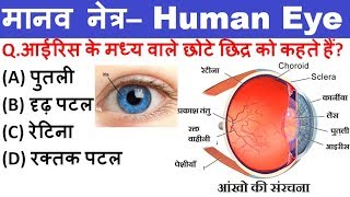 मानव नेत्र | Human Eyes | Science Gk | Gk Hindi | SSC | Gk in HIndi | Science | Eyes