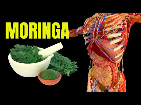 MORINGA BENEFITS - What You Need To Know About This Popular Plant