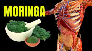 MORINGA BENEFITS - What You Need To Know About This Popular Plant