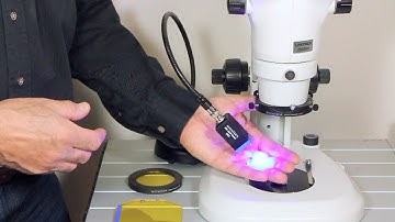 NIGHTSEA SFA system demo