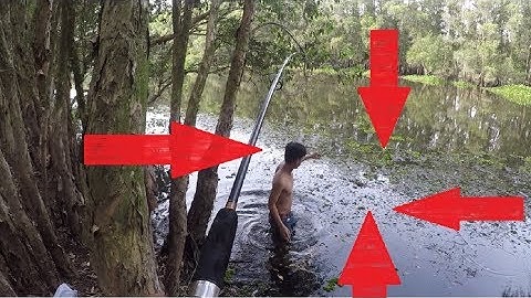 CÂU CÁ TRA VƯỜN QUỐC GIA TRÀM CHIM ĐỒNG THÁP | HUYNH KHOA FISHING