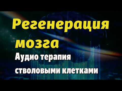 Регенерация всего мозга используя стволовые клетки, ориентированные на поврежденные области