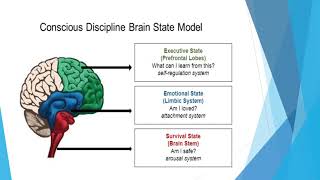 Level 5 Advanced Conscious Discipline Recording Deep Dive