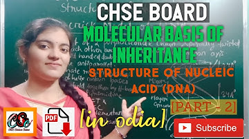 STRUCTURE OF  NUCLEIC ACID,DNA|MOLECULAR BASIS OF INHERITANCE[PART-2]|CHSE BOARD|12th BIOLOGY,(ODIA)