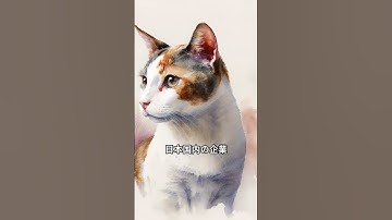 1分生成AIニュース　2025年9月19日 #生成ai #chatgpt #最新情報 #生成AIニュース #gpt5