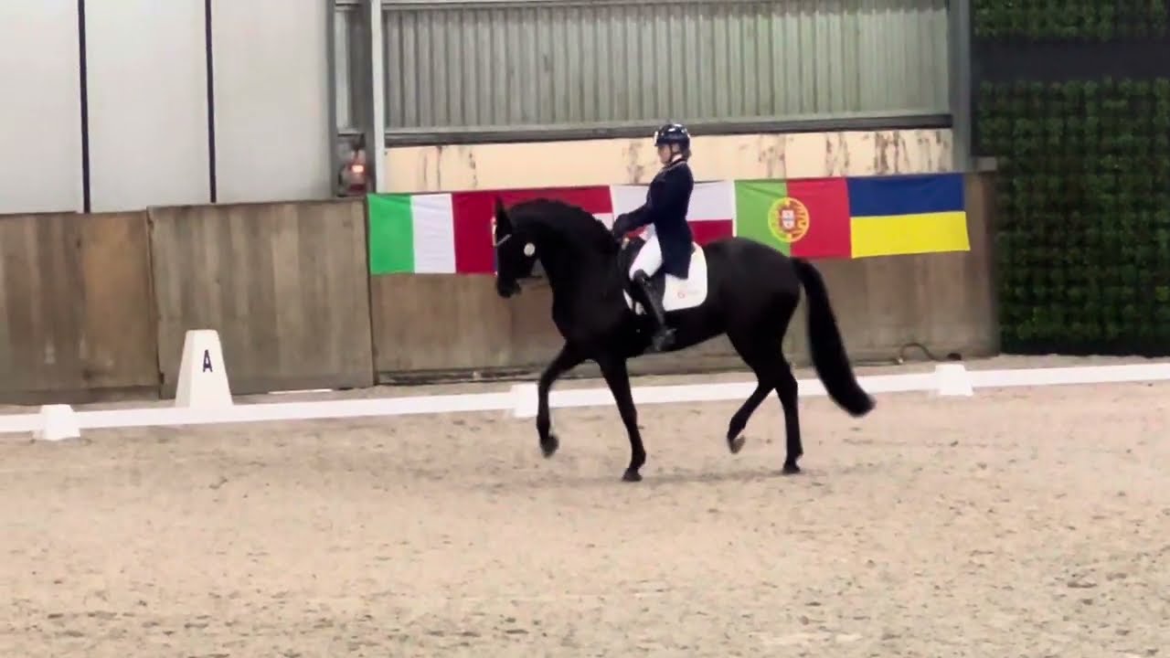 L'équipe polonaise des JO de Paris annoncée