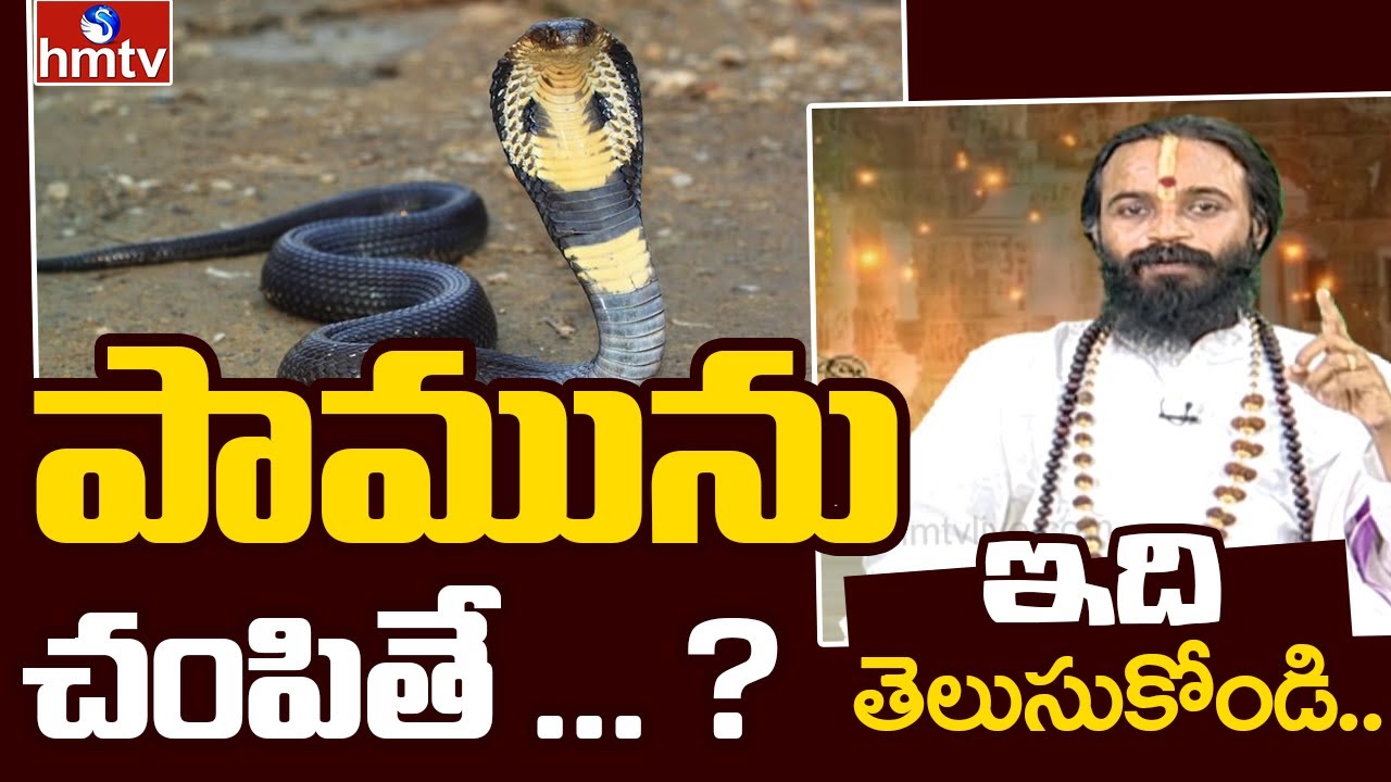 కుజ దోషం, నాగ దోషం అంటే ఏమిటి ? | Dr Devi Shree Guruji | hmtv