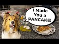 "I Made you a SPECIAL PANCAKE!" 🥞🐶❤️ A Biscuit "the sheltie" Talky Father's Day Edition