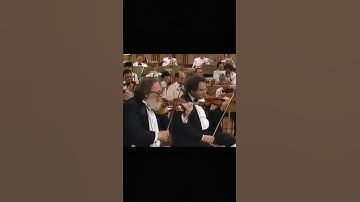 When Your Violin Feeling Off. #shorts