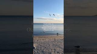 Kendi yolunu çiz, kendi hikayeni sev, olduğun yeri güzelleştir, olmayanı yok say.#shorts #söz #vlog